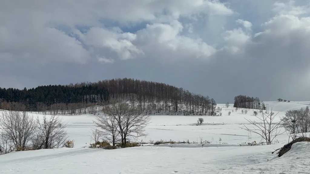 Kamifurano (上富良野町), March 2026