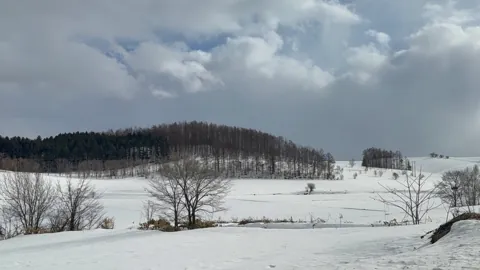 Kamifurano (上富良野町), March 2026