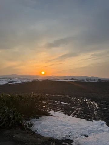 Biei (美瑛町), March 2026