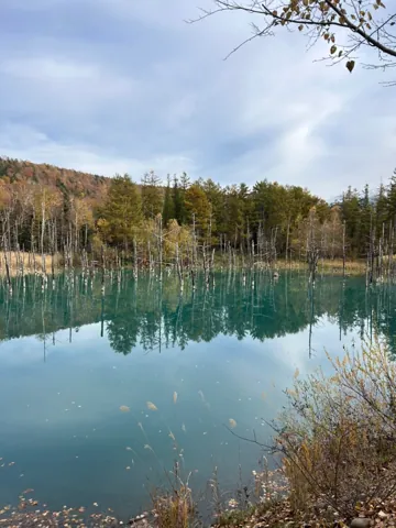 Biei (美瑛町), October 2024