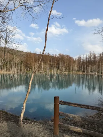 Biei (美瑛町), April 2026