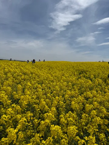 Takikawa (滝川市), May 2026