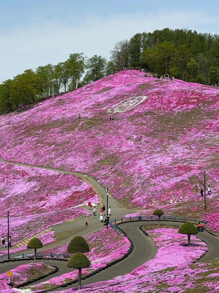 Ozora (大空町), May 2026