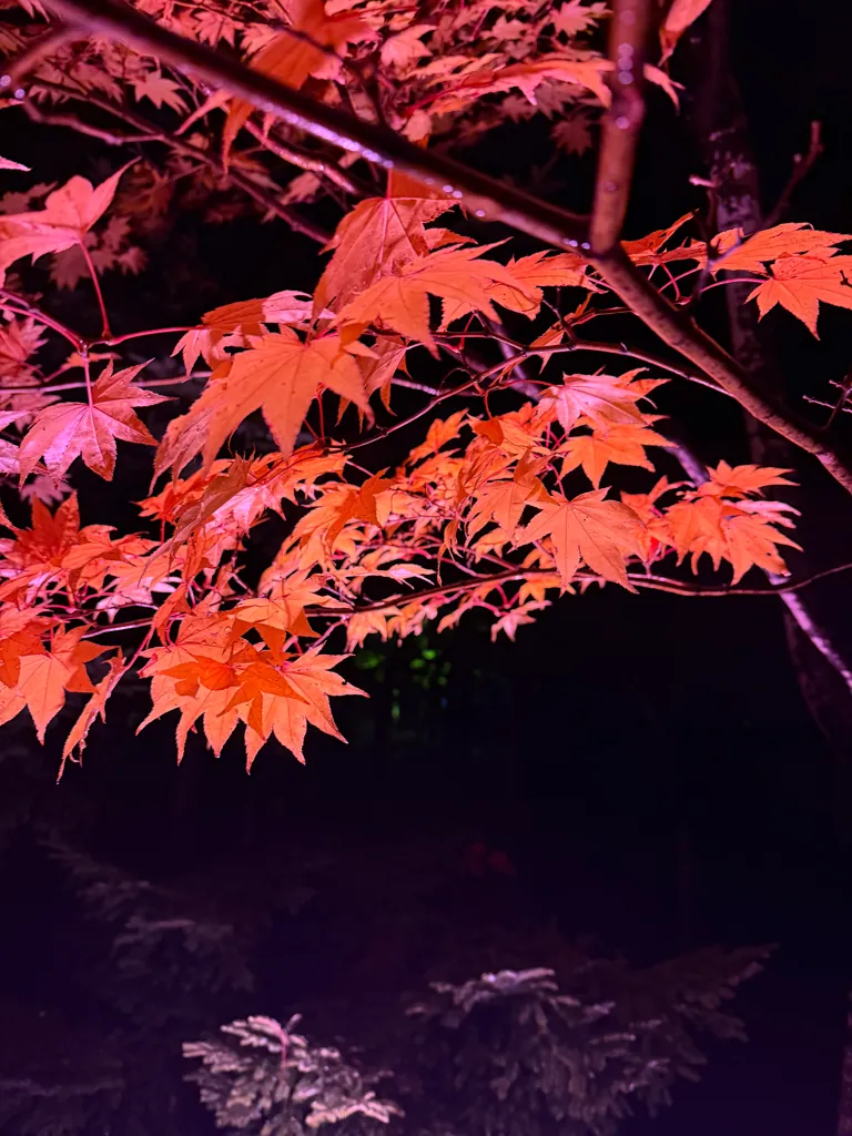 札幌市、2025年10月
