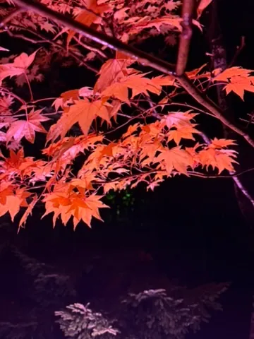Sapporo (札幌市), October 2025