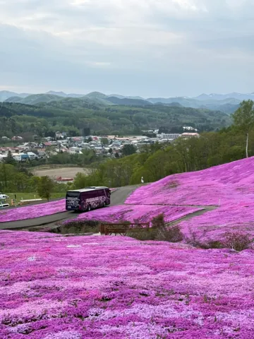 滝上町、2026年5月