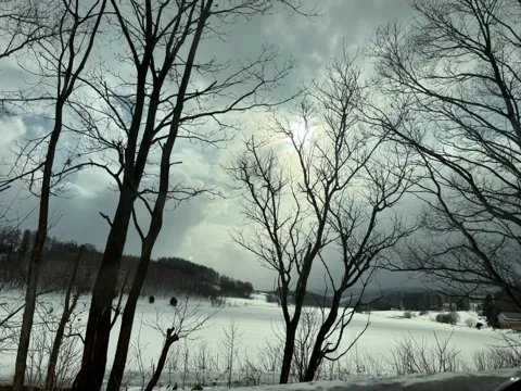 Kamifurano (上富良野町), March 2026