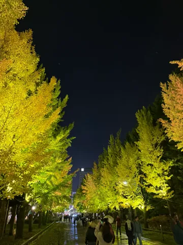 札幌市、2025年10月