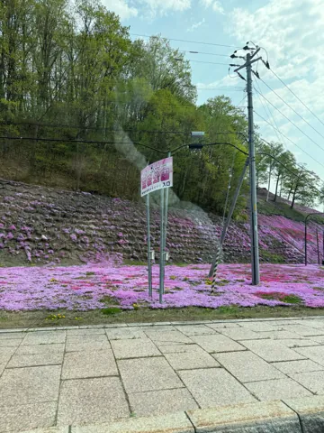 Ozora (大空町), May 2026