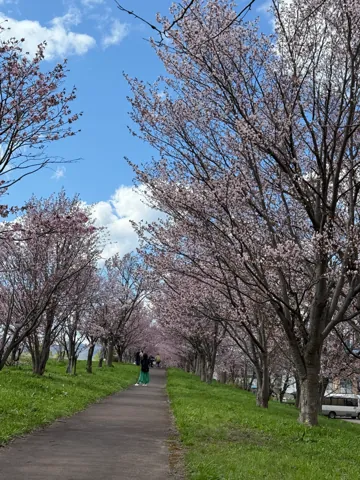 Asahikawa (旭川市), May 2025