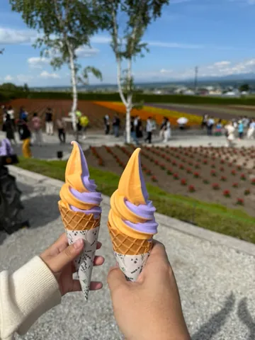 Nakafurano (中富良野町), June 2026