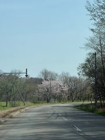 Niikappu (新冠町), April 2026