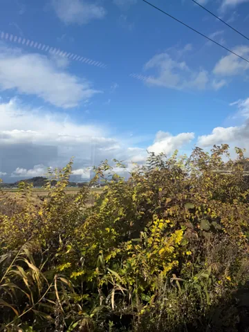 Fukagawa (深川市), October 2025