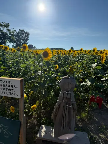 Hokuryu (北竜町), August 2026