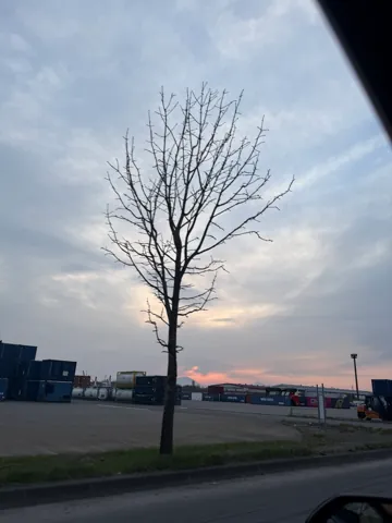 Tomakomai (苫小牧市), April 2026