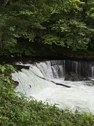 Kiyosato (清里町), August 2025